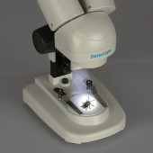 Мікроскоп бінокулярний стереоскопічний DELTA OPTICAL STEREOLIGHT